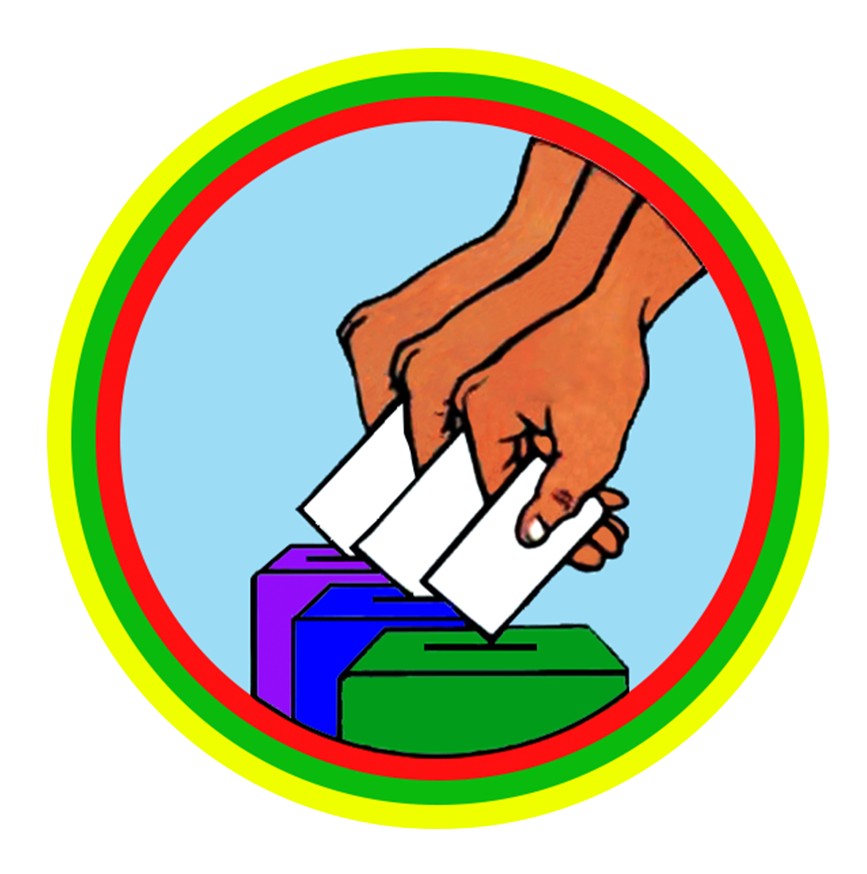 Electoral Frauds and Malpractices